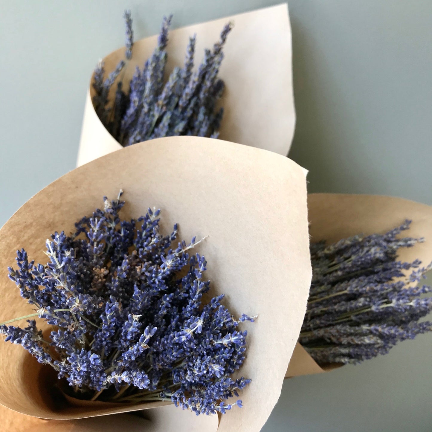 Dried Lavender Bunch