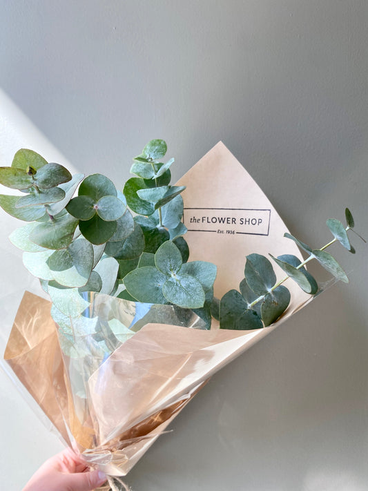 Eucalyptus Bunch