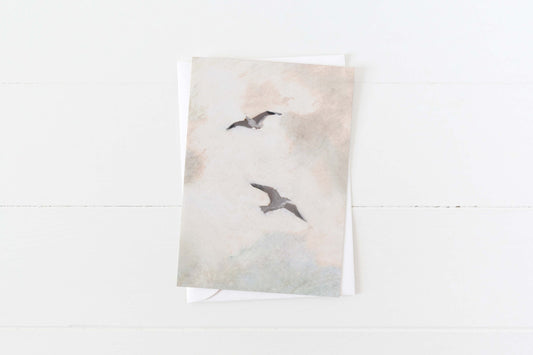 Seabirds by Briana Corr Scott